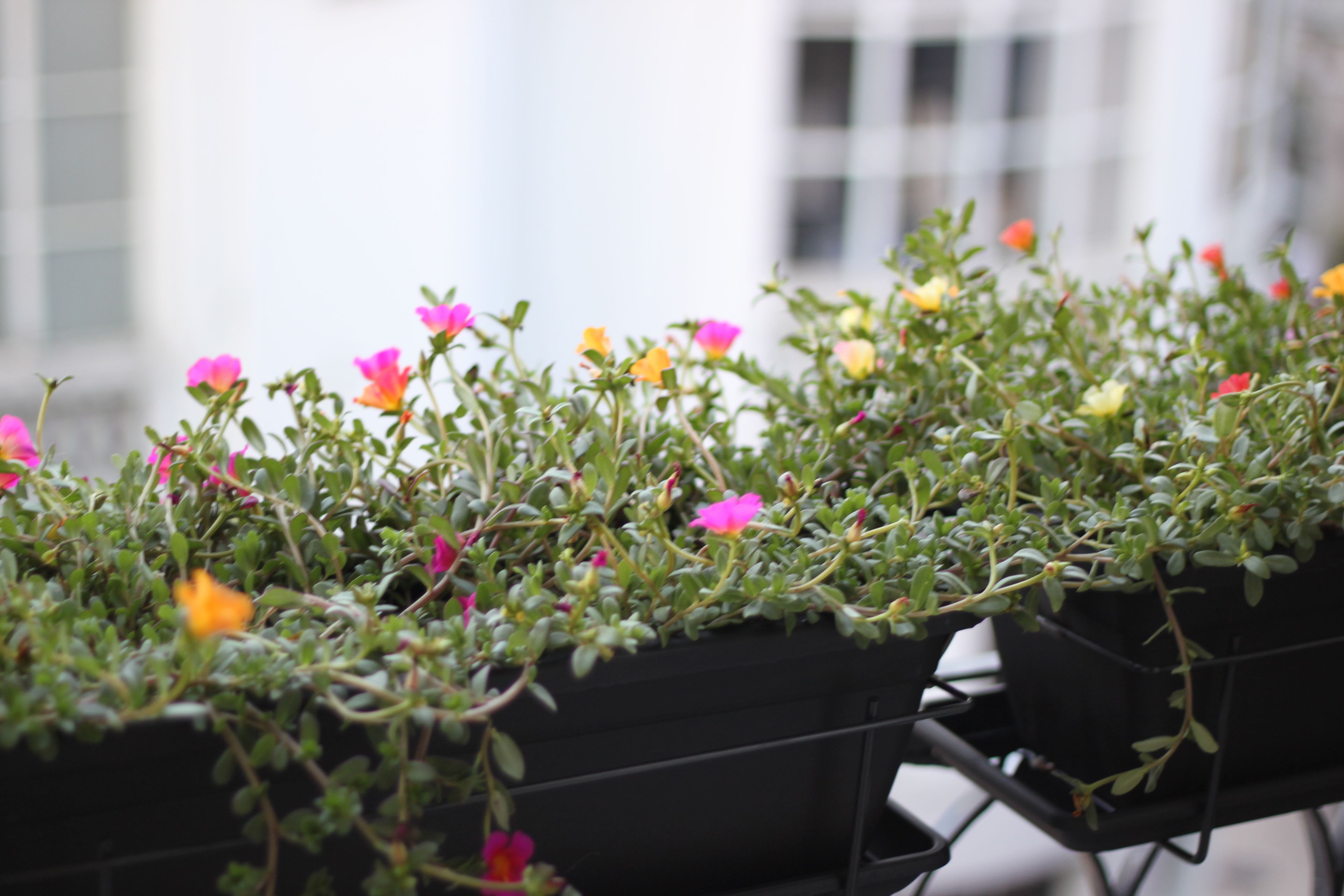 Photo - B The Guest Downtown