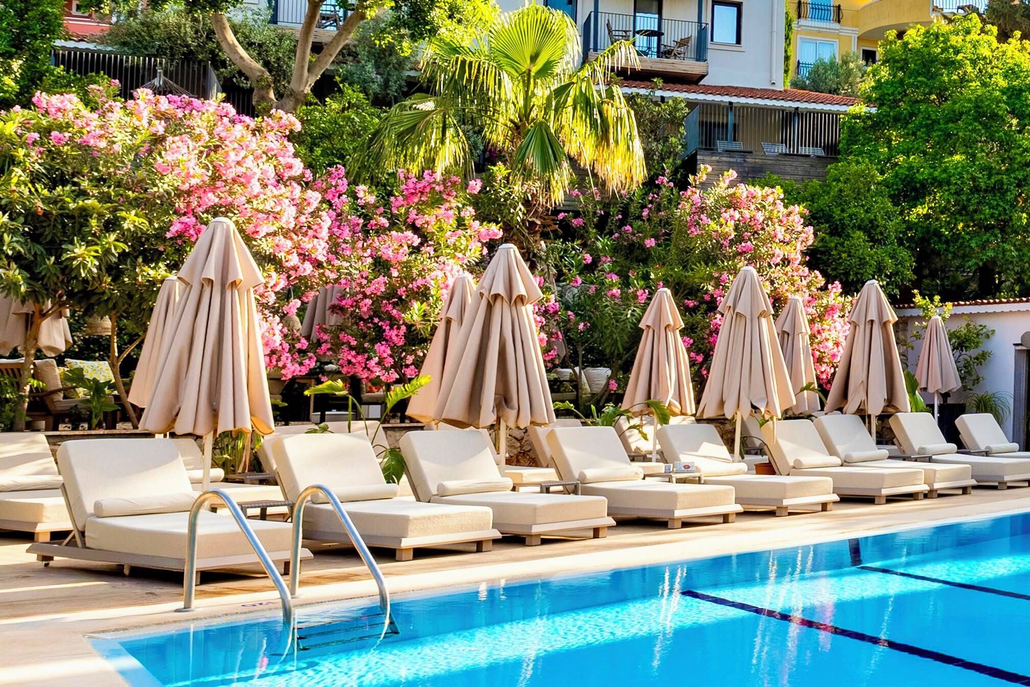 Piscine extérieure en saison, parasols, chaises longues