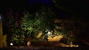 Un jardín con un muro de piedra, una planta en maceta y un pequeño árbol.