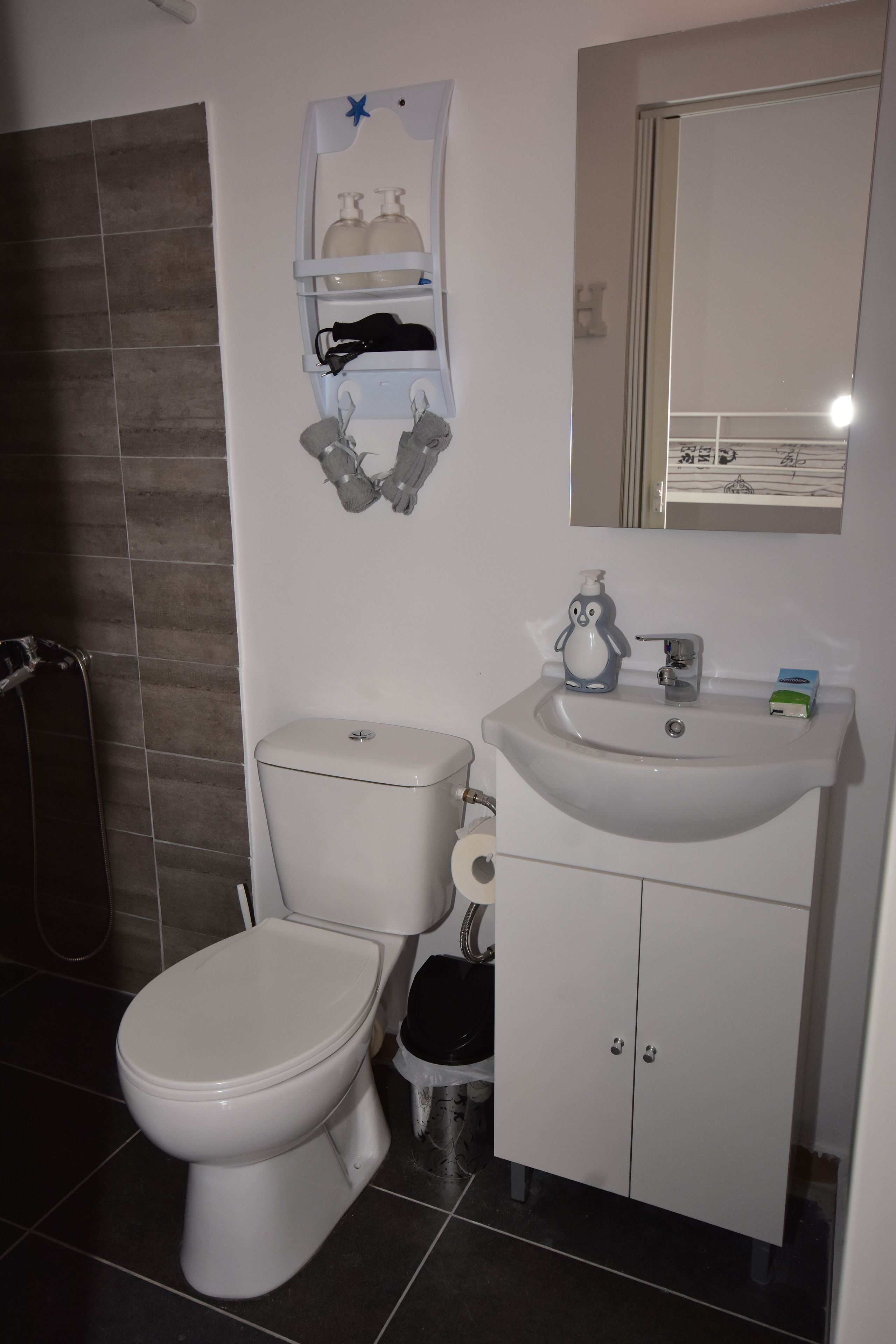 A bathroom with a toilet, a sink, and a mirror.