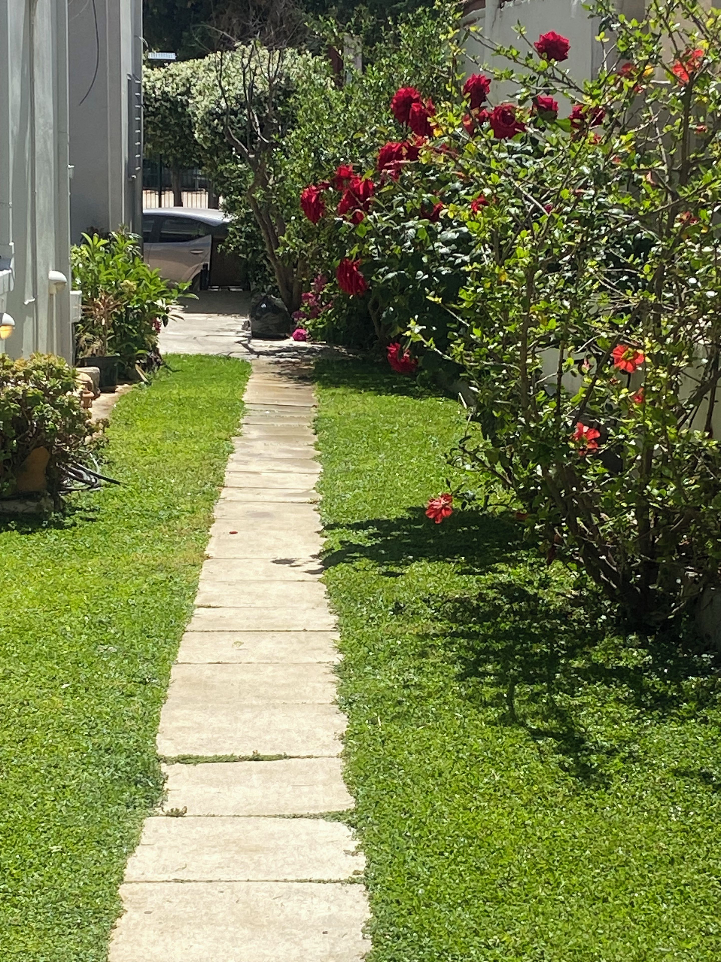 A garden pathway leading to a building with a white exterior.