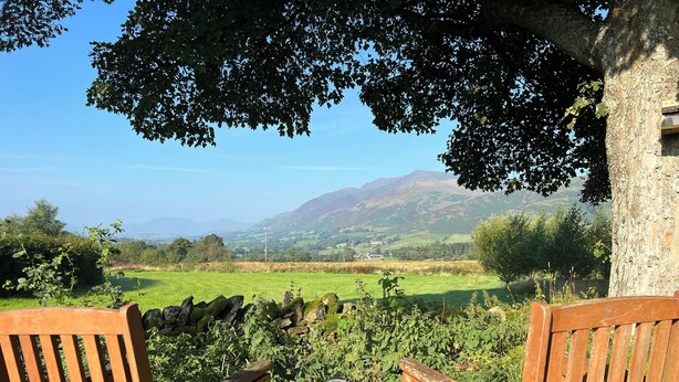 Two wooden benches under a tree, overlooking a green field and distant mountains. - Lane Head Farm Country Guest House (Penrith)