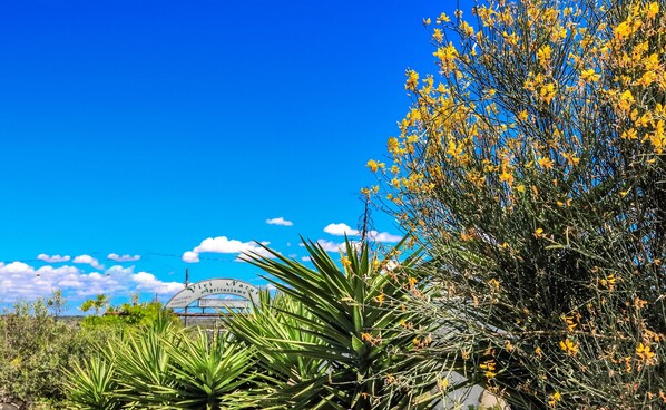 View from property