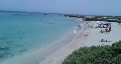 B&B Vistadamare
