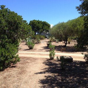 Property grounds - SVS - Lu Impostu Villa e Apartments (San Teodoro)