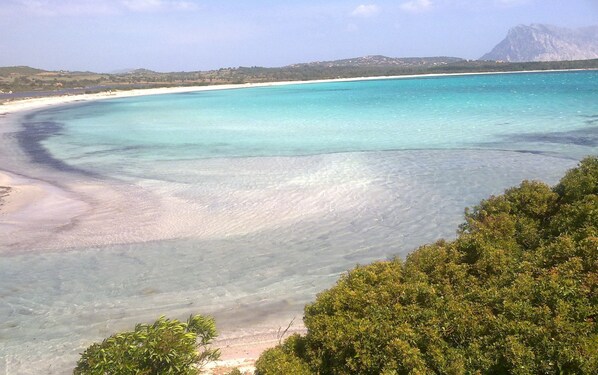 Beach nearby - SVS - Lu Impostu Villa e Apartments (San Teodoro)