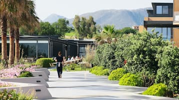 Un edificio moderno con fachada de vidrio, rodeado de exuberante follaje y palmeras.
