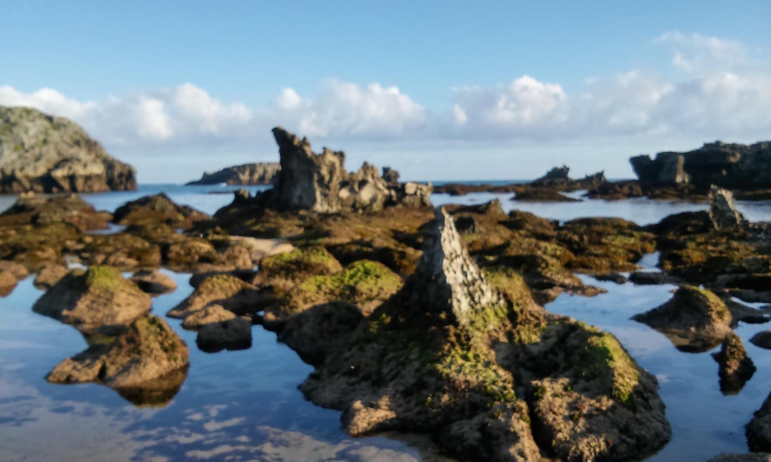 A rocky shoreline with clear water and distant land.