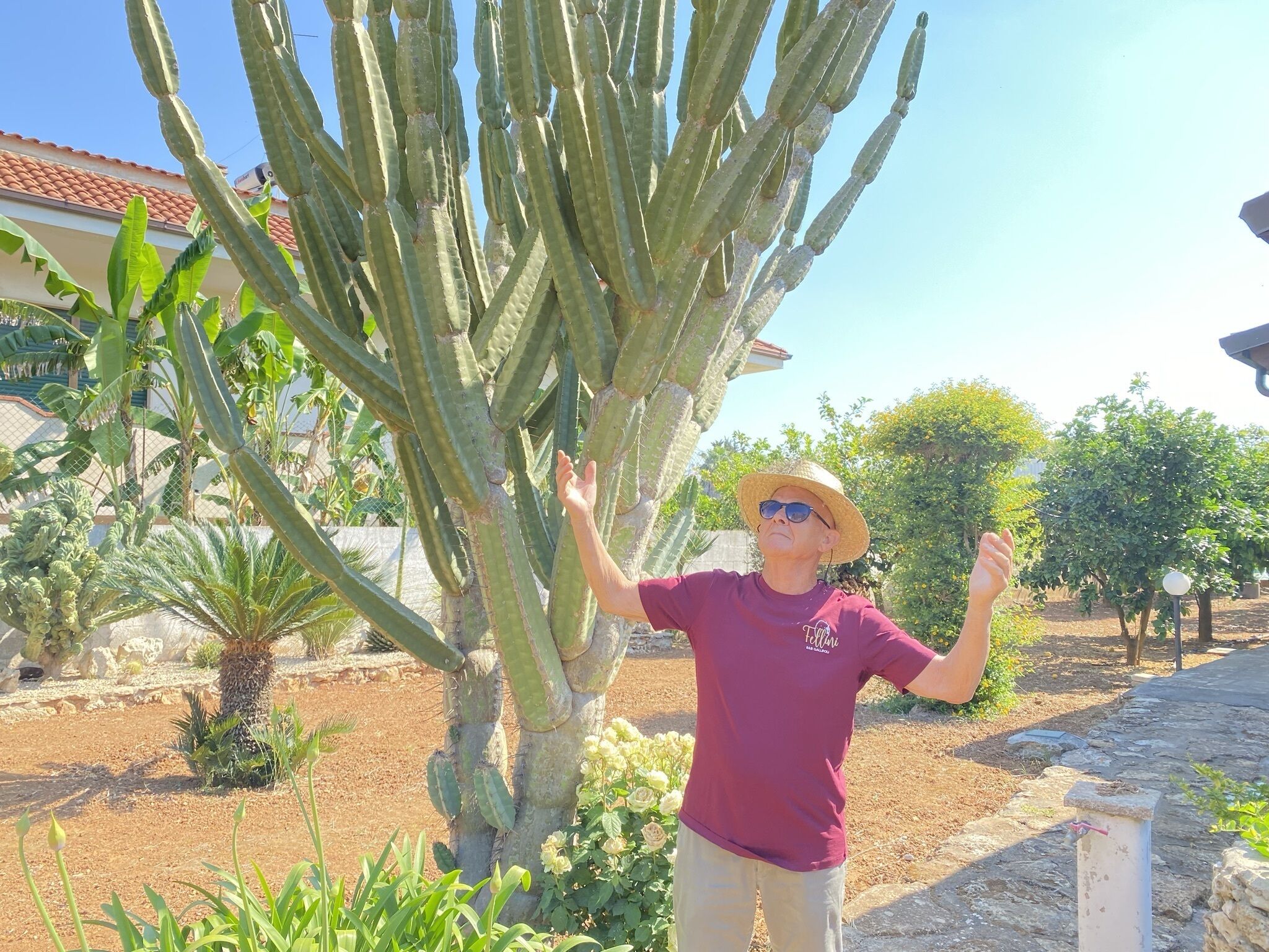 Une personne se tient à côté d’un grand cactus dans un jardin, avec un bâtiment en arrière-plan.