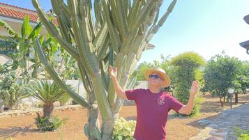 Une personne se tient à côté d’un grand cactus dans un jardin, avec un bâtiment en arrière-plan.