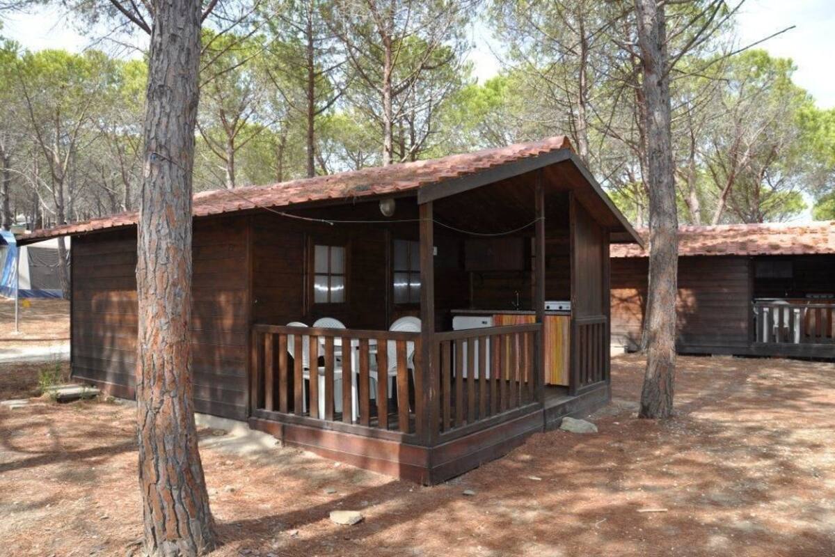 A rustic cabin with a wooden porch, surrounded by trees.