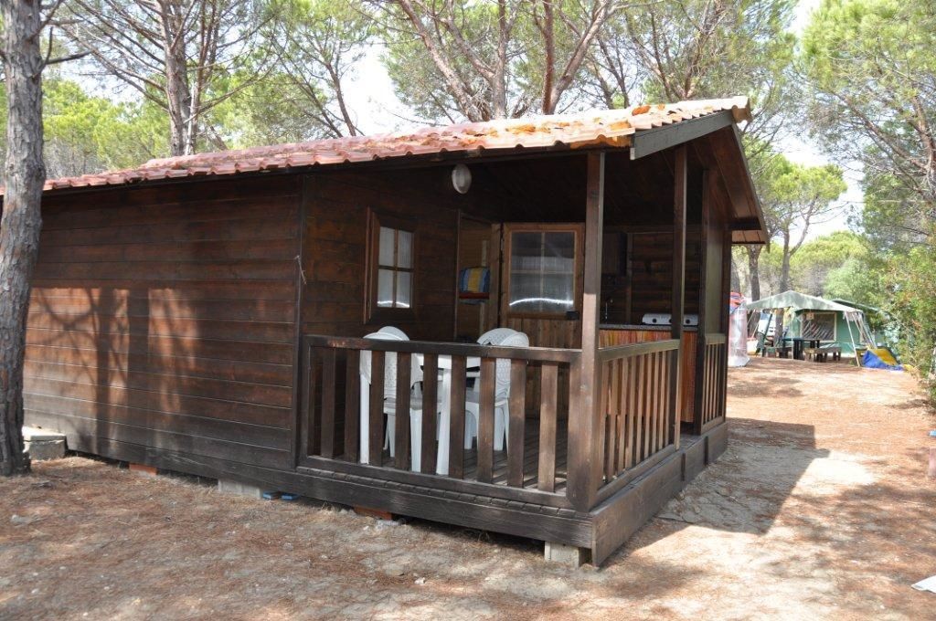 Uma pequena cabana de madeira com varanda, rodeada por árvores.