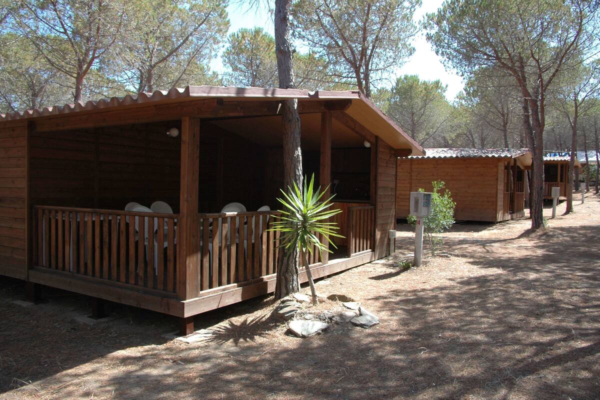 Family Bungalow | Terrace/patio