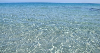 Amfibietreks Camping