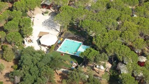 Vista aérea de una propiedad con piscina rodeada de árboles frondosos, un área cercada y un edificio pequeño.
