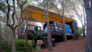 Una casa en un árbol con una escalera de madera que lleva a una estructura azul y amarilla.