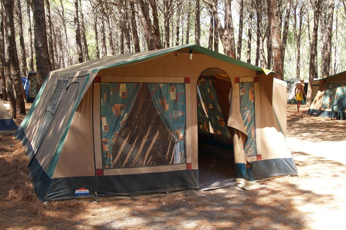 A large, dome-shaped tent with a spacious interior, set in a forested area.