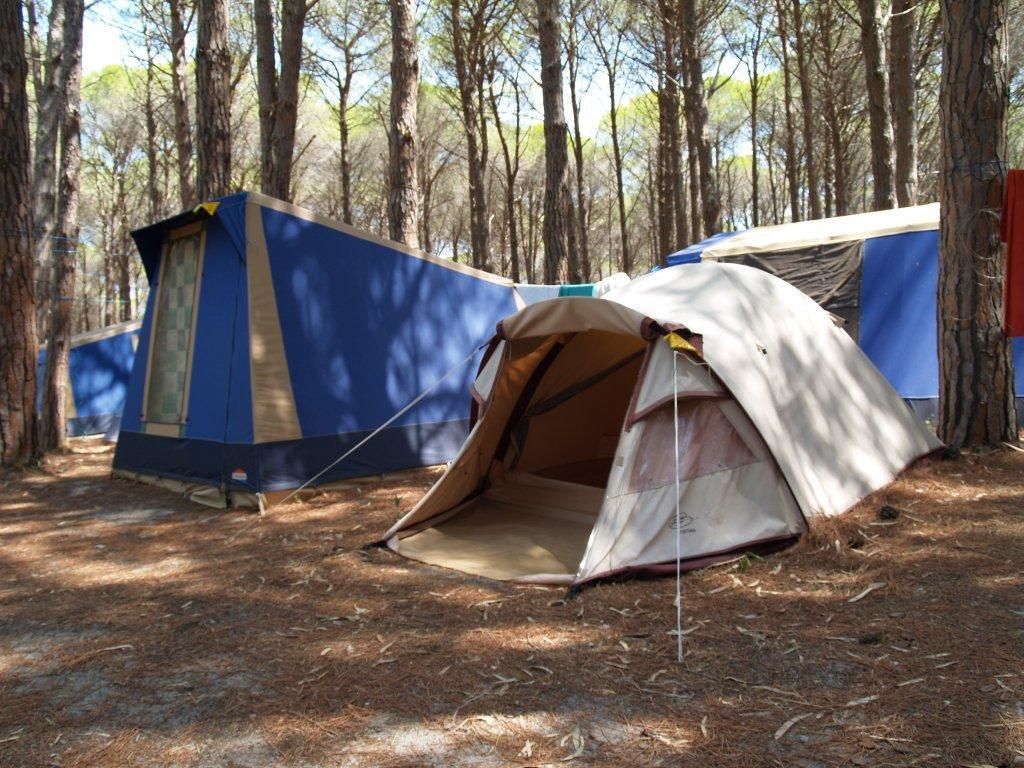 A campsite with two tents, one blue and one beige, set in a wooded area.
