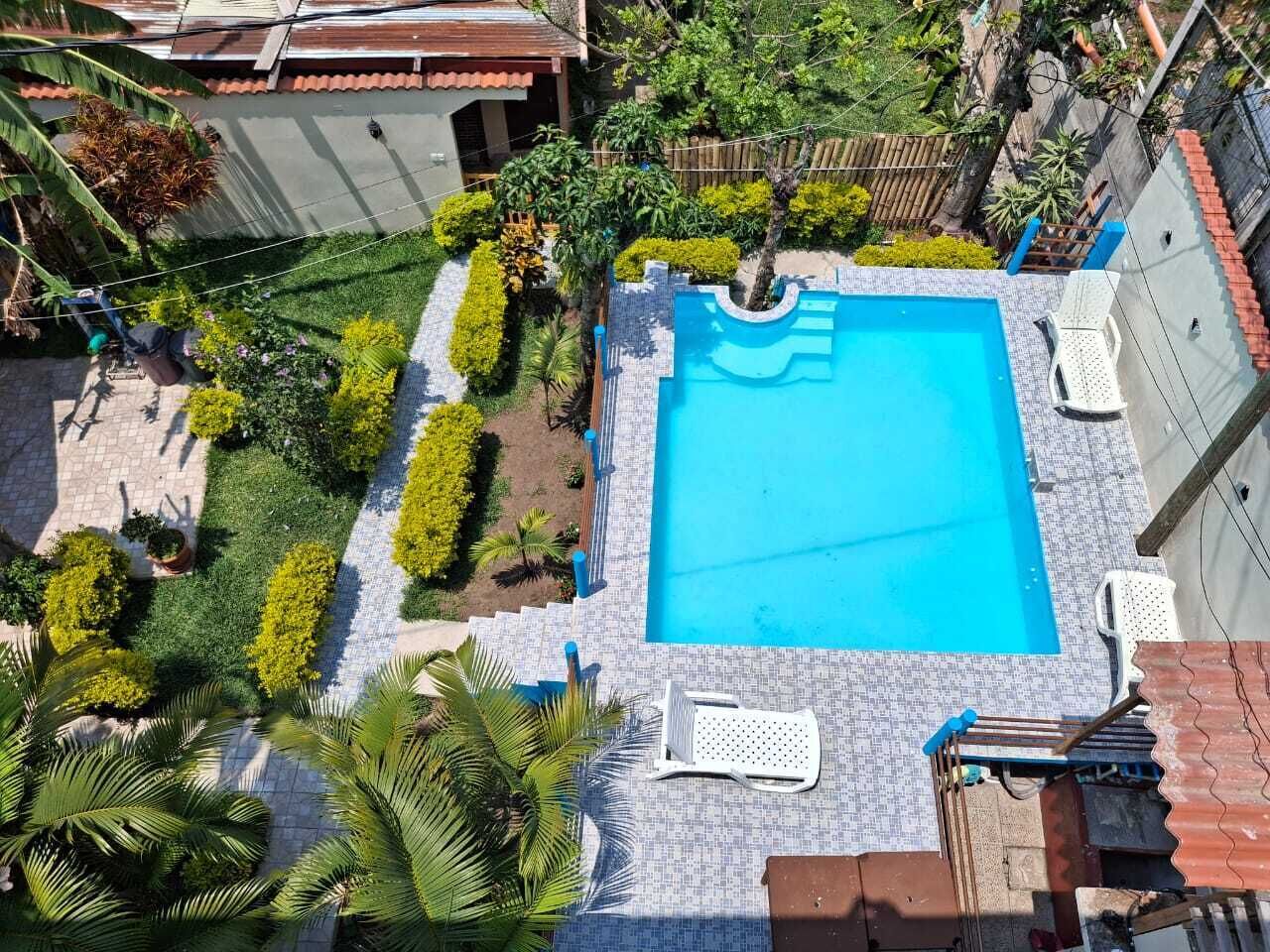 A rooftop swimming pool with a tiled deck, surrounded by various plants and trees.