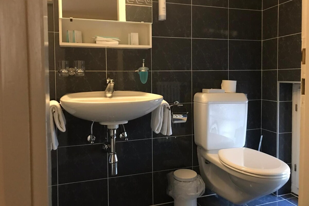 A modern bathroom with a white sink, a toilet, and a mirror above the sink.