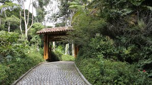 A cobblestone pathway leading to a traditional wooden gazebo surrounded by lush greenery. - Refugio Em Teresopolis (Teresópolis)