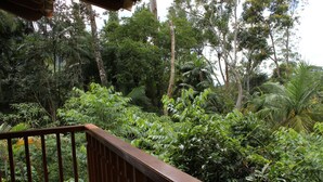 View from room - Refugio Em Teresopolis (Teresópolis)