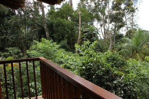 House, 5 Bedrooms | View from room