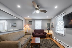 �Älytelevisio, DVD-soitin