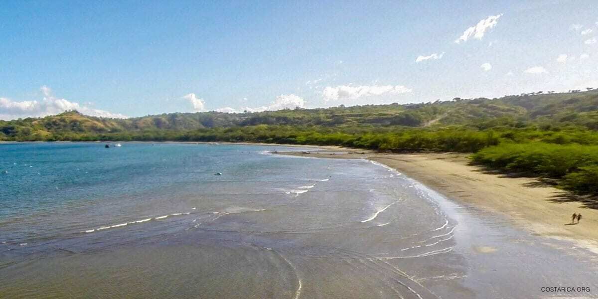 A beach with clear water, sandy shore, and green vegetation.