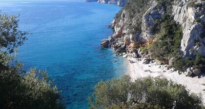Corrasi Villa Oliena Luxury --- IUN Code: P2166