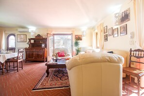 Smart TV, chimenea, libros