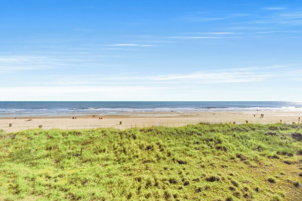 A beach with a grassy foreground and a clear blue sky. - Beautiful Oceanfront Condo + Free Attraction Tickets! (North Myrtle Beach)