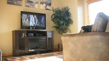 Smart TV, chimenea y videoteca