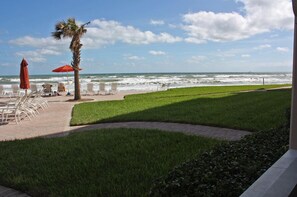 Blick auf einen Strand mit Palme, Liegestühlen und Sonnenschirmen.
