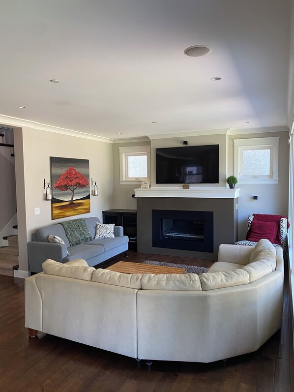 TV, fireplace, video games, DVD player