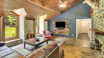 Télévision, cheminée