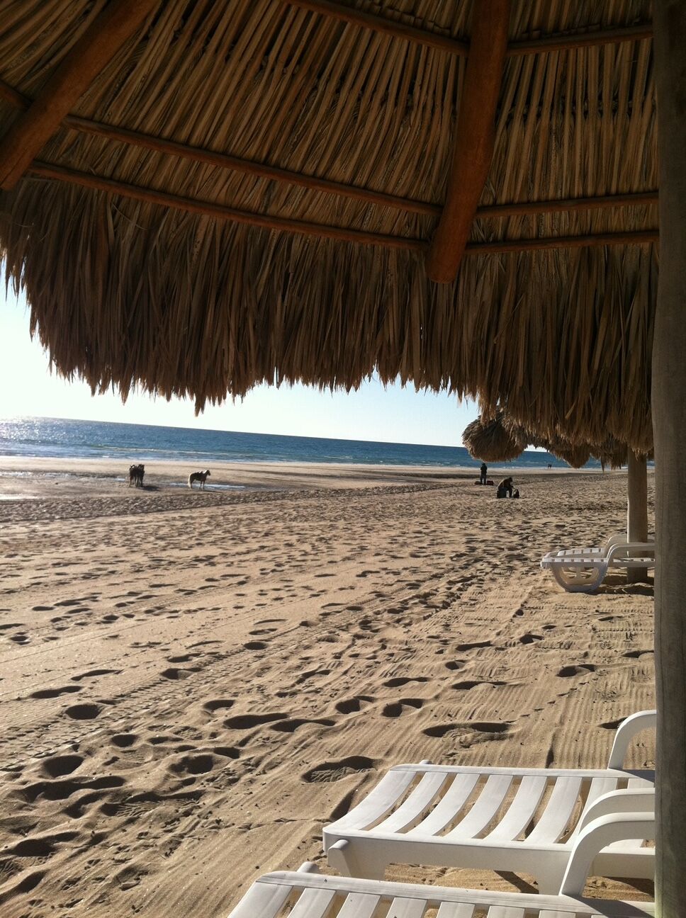 A beach with a thatched roof structure, white lounge chairs, and footprints in the sand.