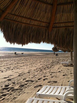 On the beach, sun loungers, beach towels - True Oceanfront with Amazing Ocean & Sunset Views! Lowest Rates Allowed! (Puerto Penasco)