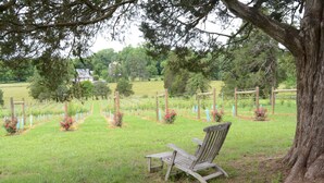 A wooden chair in a grassy area with trees and a fence in the background.