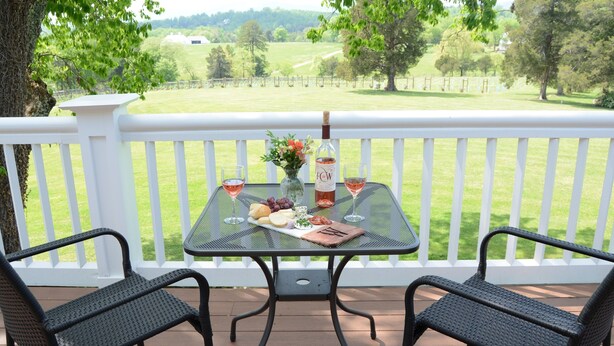 A balcony with a table set for a meal, two chairs, and a scenic view of a vineyard.