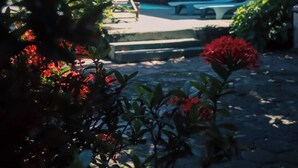 Un jardín con flores rojas, una piscina y un edificio con tejado inclinado.