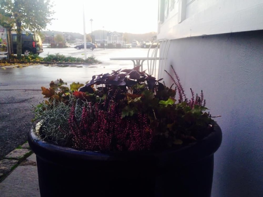 Lillesand Hotel Norway photo 5