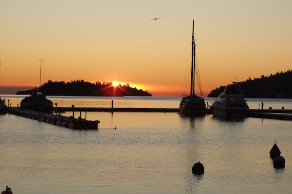 Muelle