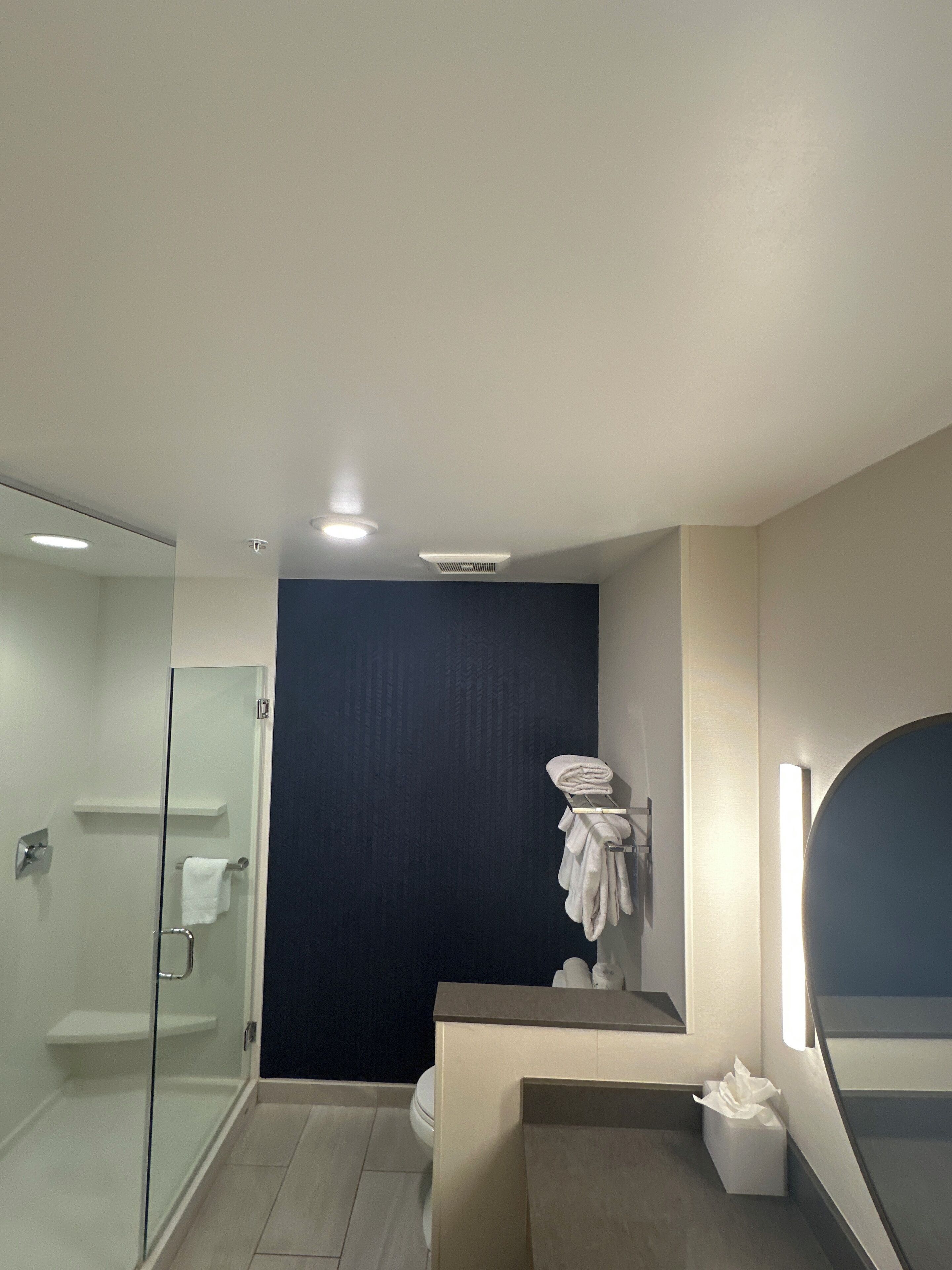 suite, 1 king bed | bathroom | free toiletries, hair dryer, towels, soap