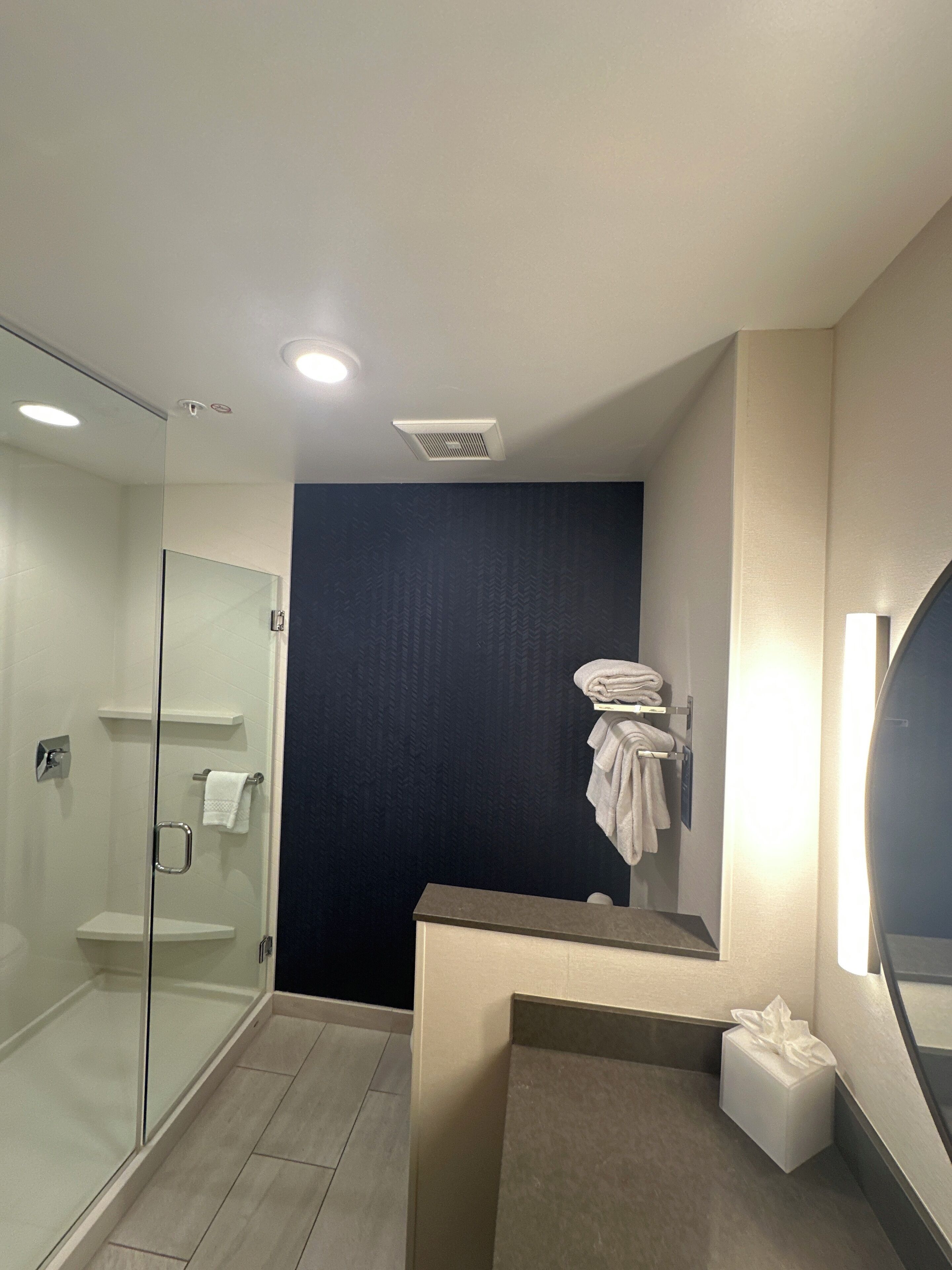 A modern bathroom with a glass-enclosed shower, a dark accent wall, and a vanity with a mirror.