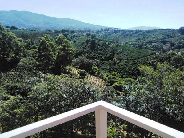 华丽公寓, 2 间卧室 | 露台