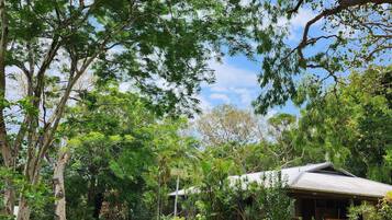 Minibar, decoración personalizada, muebles diferentes y escritorio