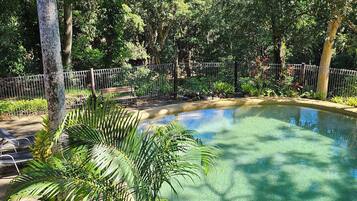 Alberca al aire libre y camastros