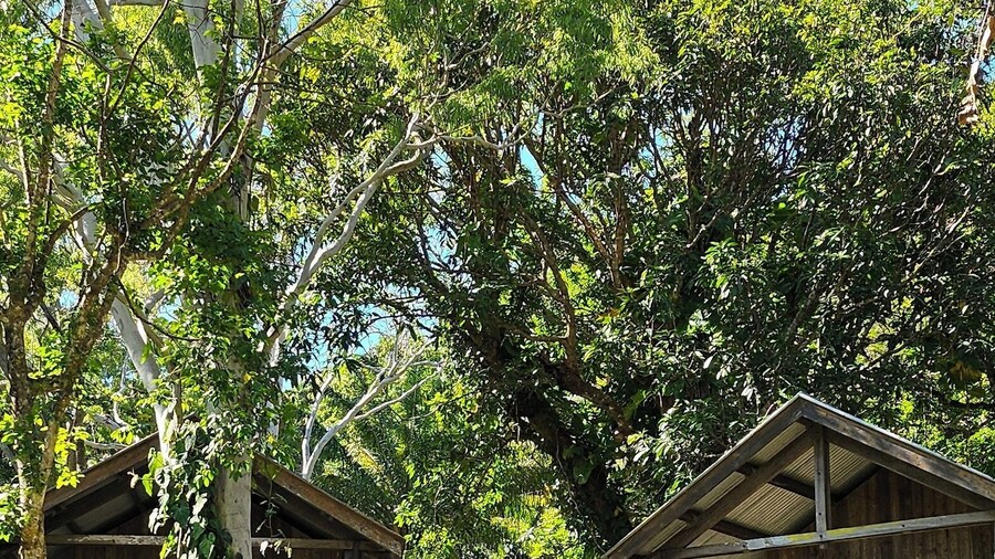 Mungumby Lodge - Cooktown