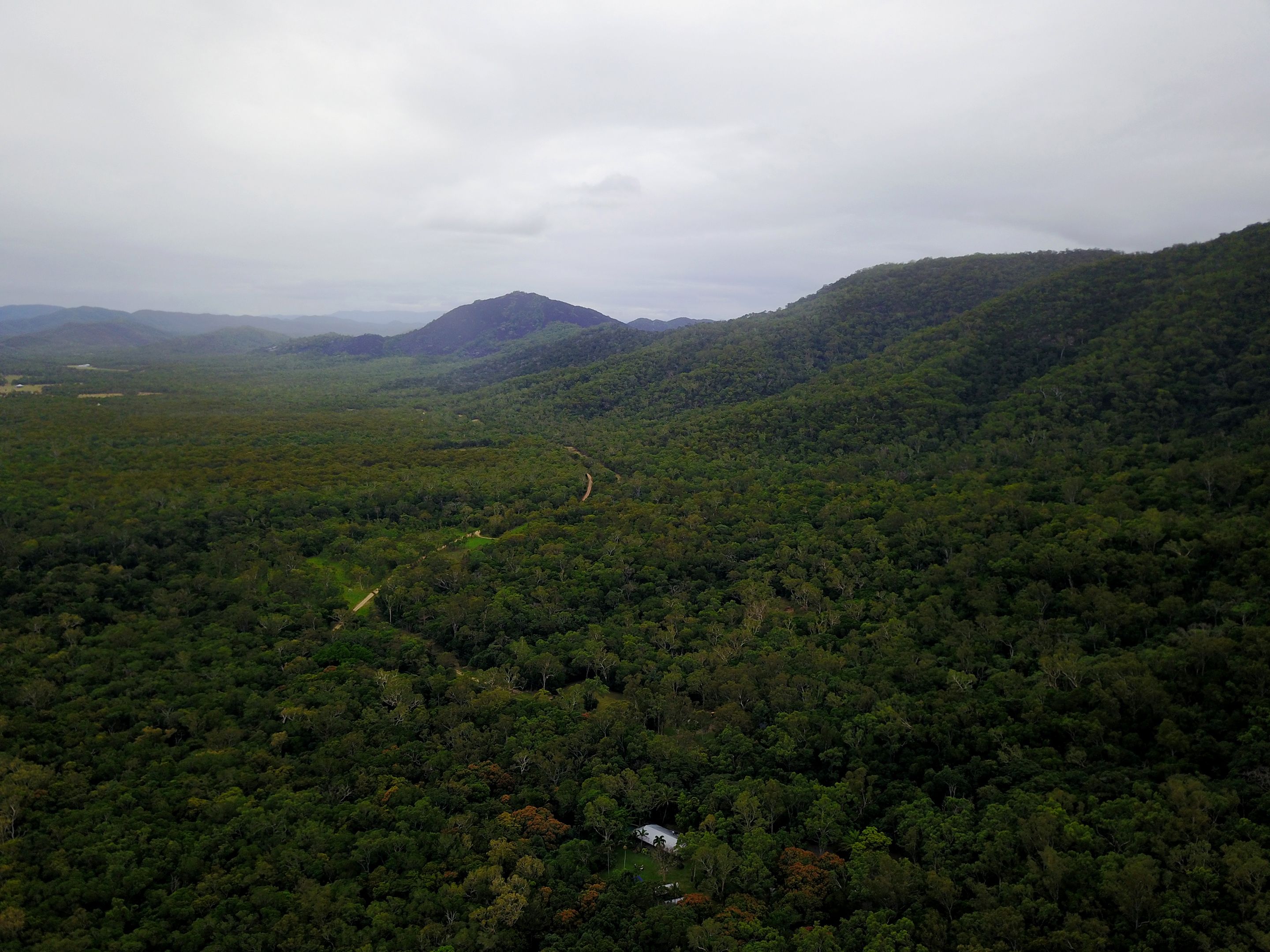 Üppige grüne Landschaft mit sanften Hügeln und einer kurvenreichen Straße.
